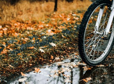 Case Study: Elemi for Minor Physical Trauma and Emotional Integration