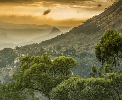 A Mindful Sit with Black Pepper