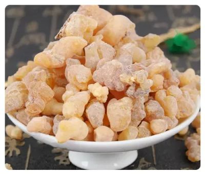 The Oil Within the Plant: Frankincense Sacra