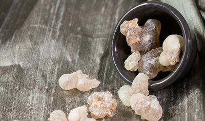 The Plant Behind the Oil: Frankincense (sacra)