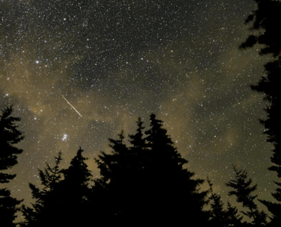 A meteor streaks across a starry night sky above silhouetted fir trees
