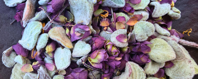 Dittany of Crete: A Rare Oil, Five Lab Reports, and a Distiller's Story