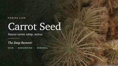 Thrive Live - Carrot Seed Thrive Live event replay