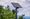 Flock Cameras in Nebraska: Narrative and Sentiment Analysis