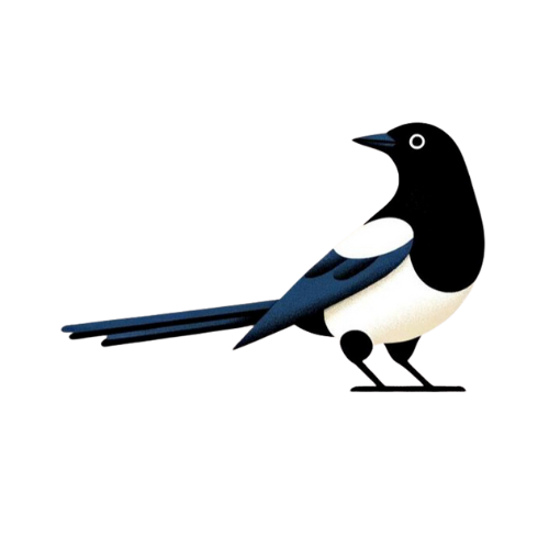 Why the magpie?