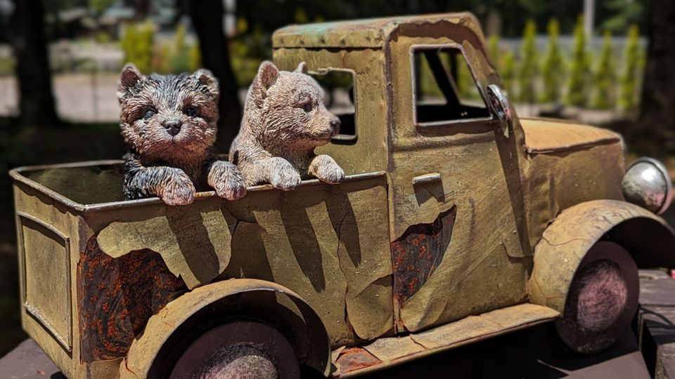 Links on Status and Culture - August 2023