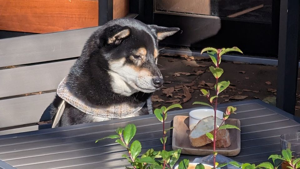 The Missing Piece in Conversations about “Cultural Decline”