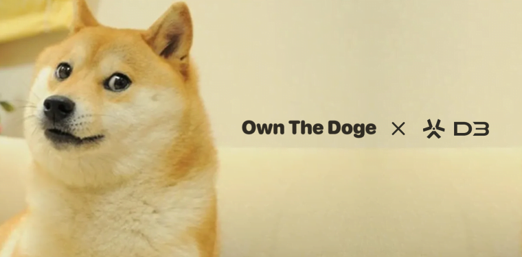 D3 Partners With Own The Doge To Apply For .doge Top-Level Domain