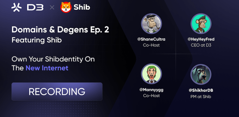 Domains and Degens Episode 2 with Shib Recap