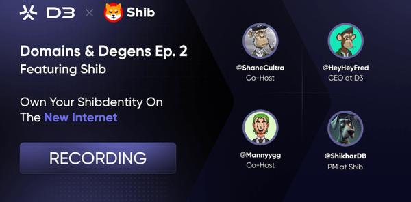Domains and Degens Episode 2 with Shib Recap