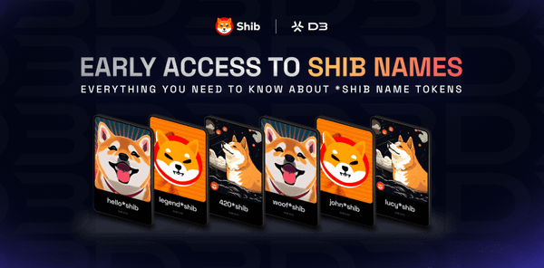 Everything You Need To Know About *SHIB Name Tokens
