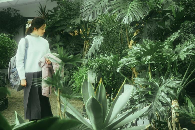 Farewell, My Hometown