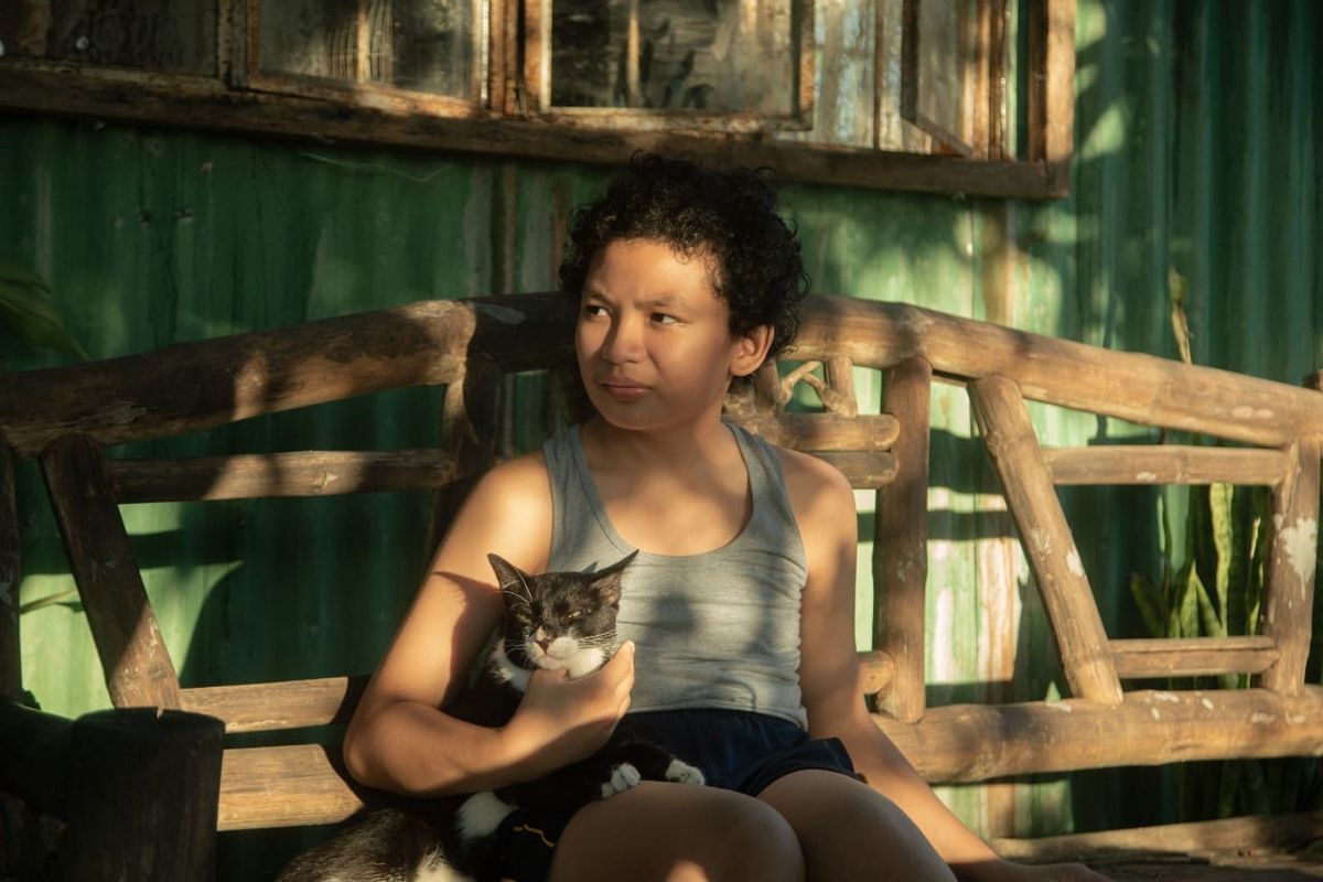 My Neighbor The Gangster1