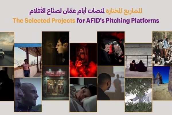 Selected Projects for AFID Pitching 2026