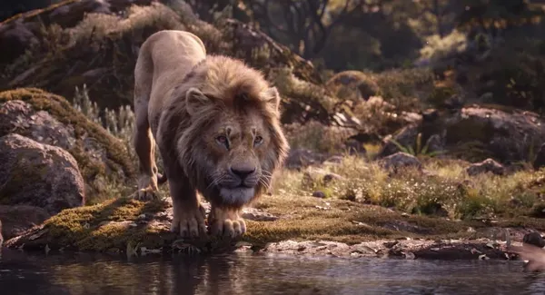 The Lion King