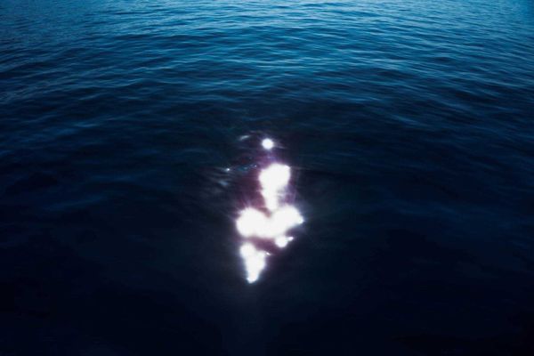 The Sea Is Calm Tonight