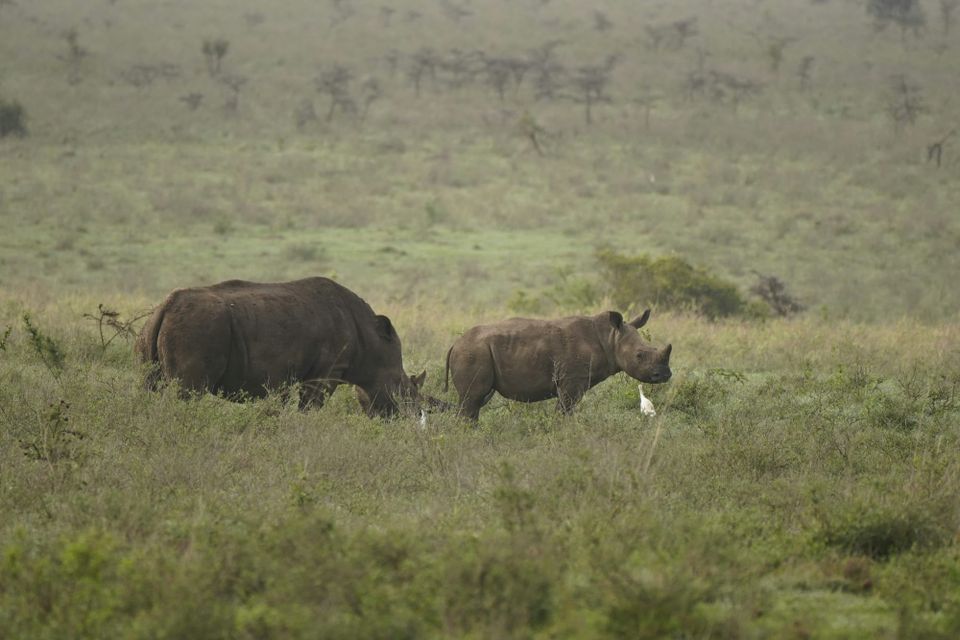 The One Where BroBots Won 3.5K$