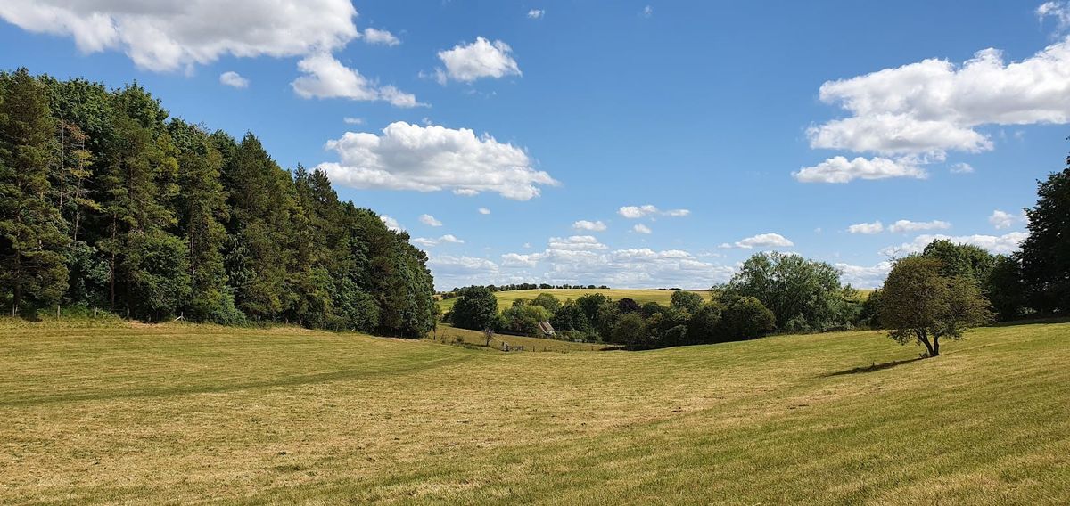 FT insight puts Oxfordshire at heart of local government debate