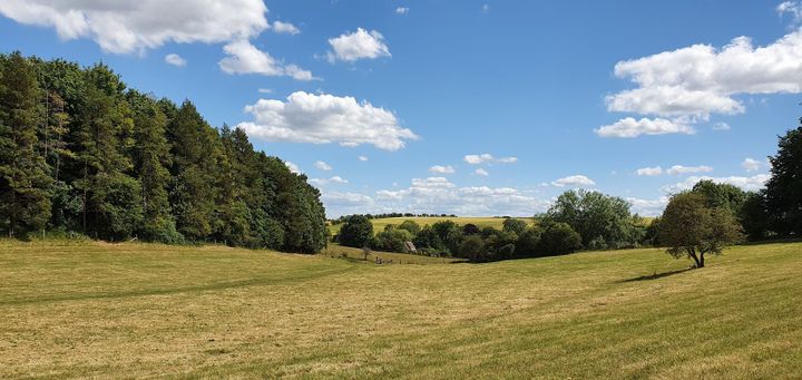 Oxfordshire fields in summer with blue skies, open grassland and trees