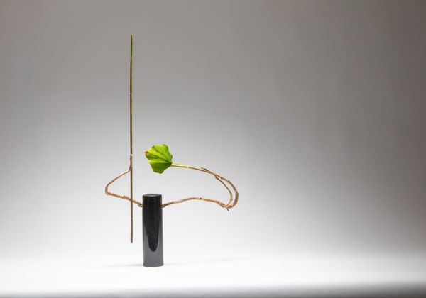 ikebana x new european bauhaus