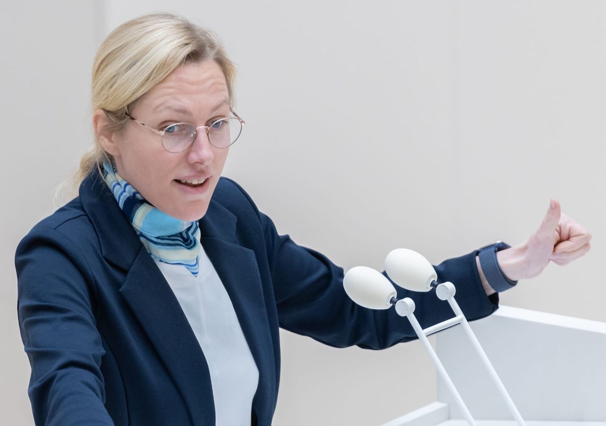 AfD lawmaker, Young Republican leader headline 'remigration' summit with convicted Holocaust denier