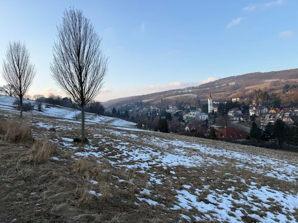 America's indecency is Austria's gain