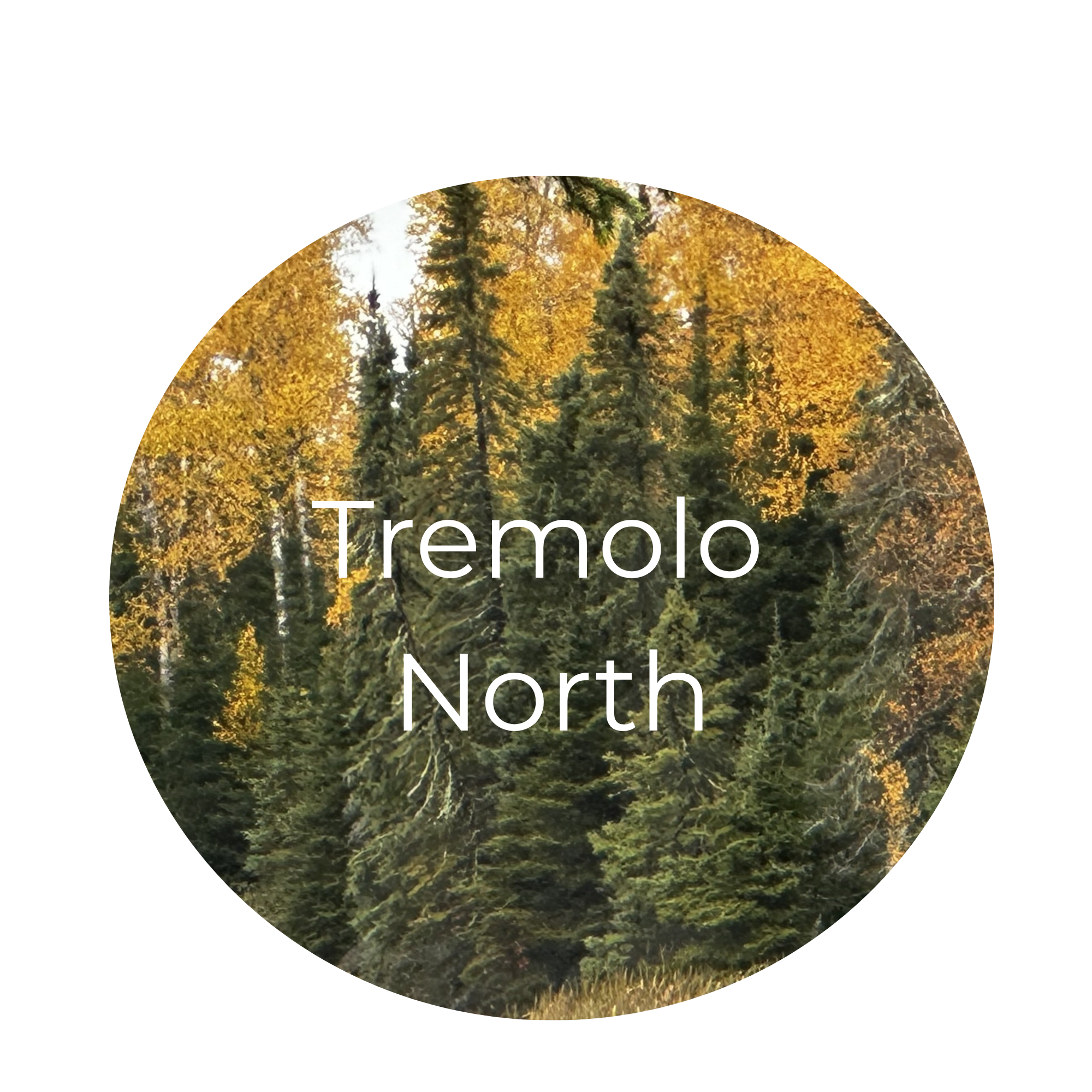 tremolo north