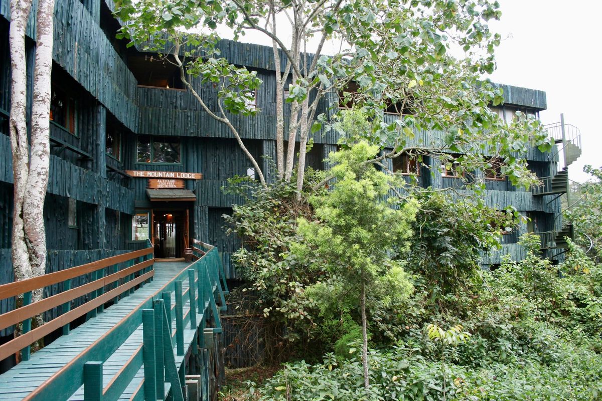 A multilevel hotel sits behind trees ad foliage with a wooden walkway to the entrance.