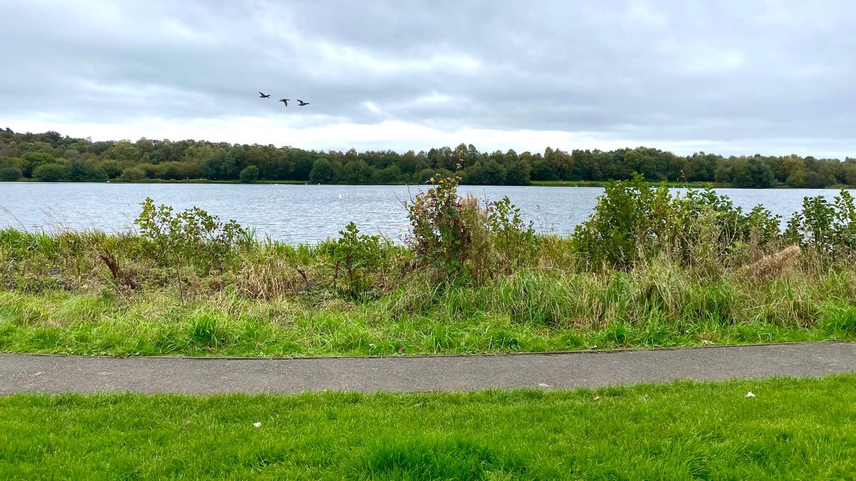 Strathclyde Country Park