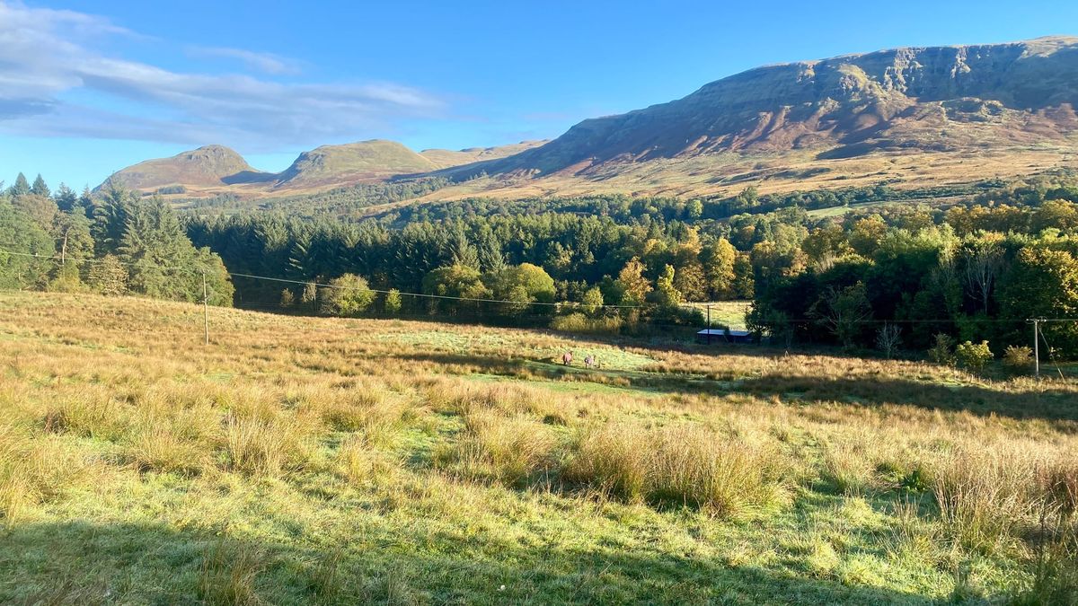 West Highland Way Campsite (& Hotel)