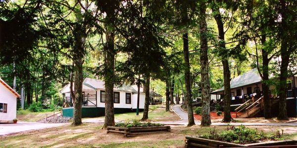 Woodland setting with wooden cabins showing through the trees. 