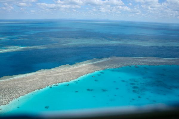 The Great Barrier Reef