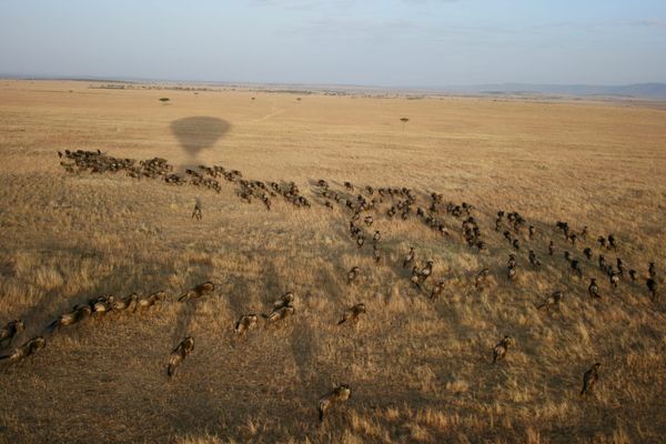 A Balloon with a View