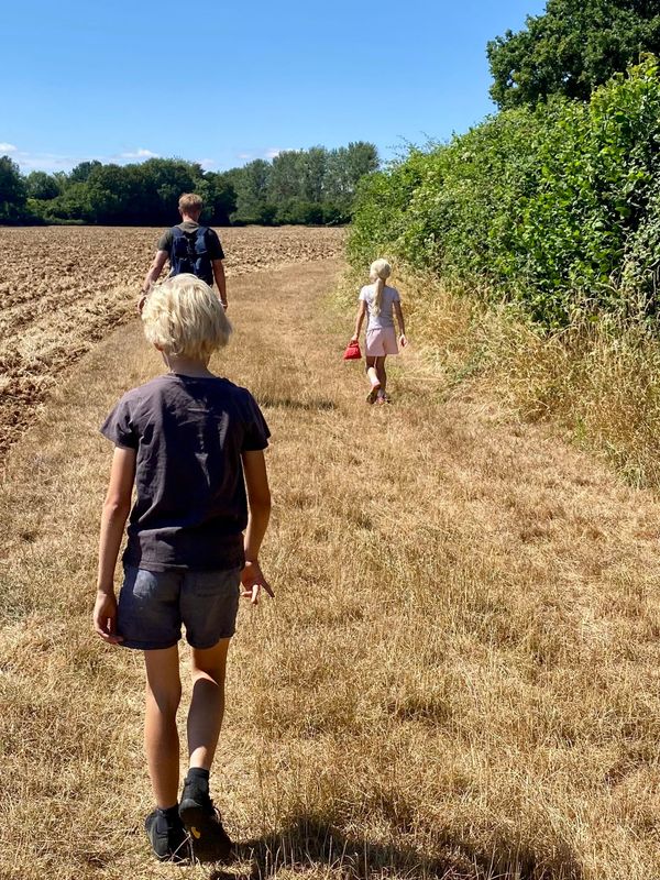 🛰️ Geocaching in Hampshire
