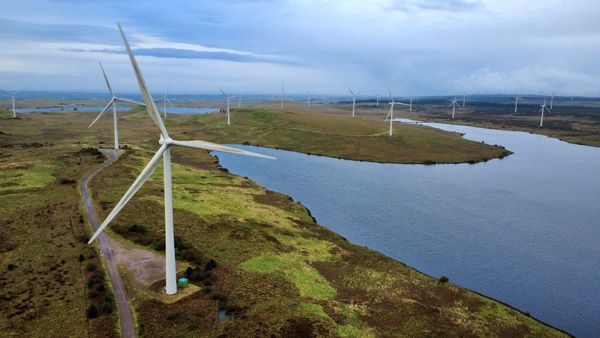 Whitelee Windfarm