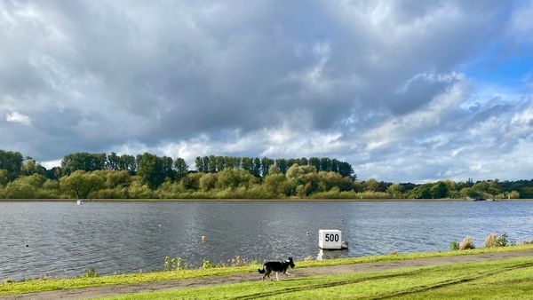 Strathclyde Country Park