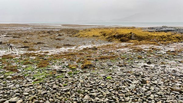 Port Nan Gael