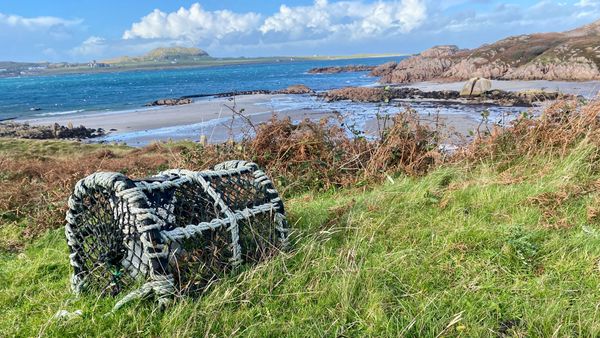 Iona