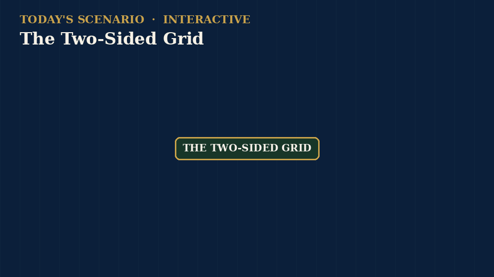 The Two-Sided Grid — interactive scenario preview