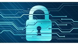 What is a Data Protection Officer?