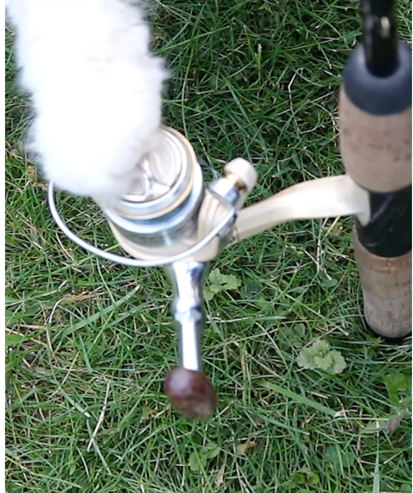 The Best Way to Catch a Catfish
