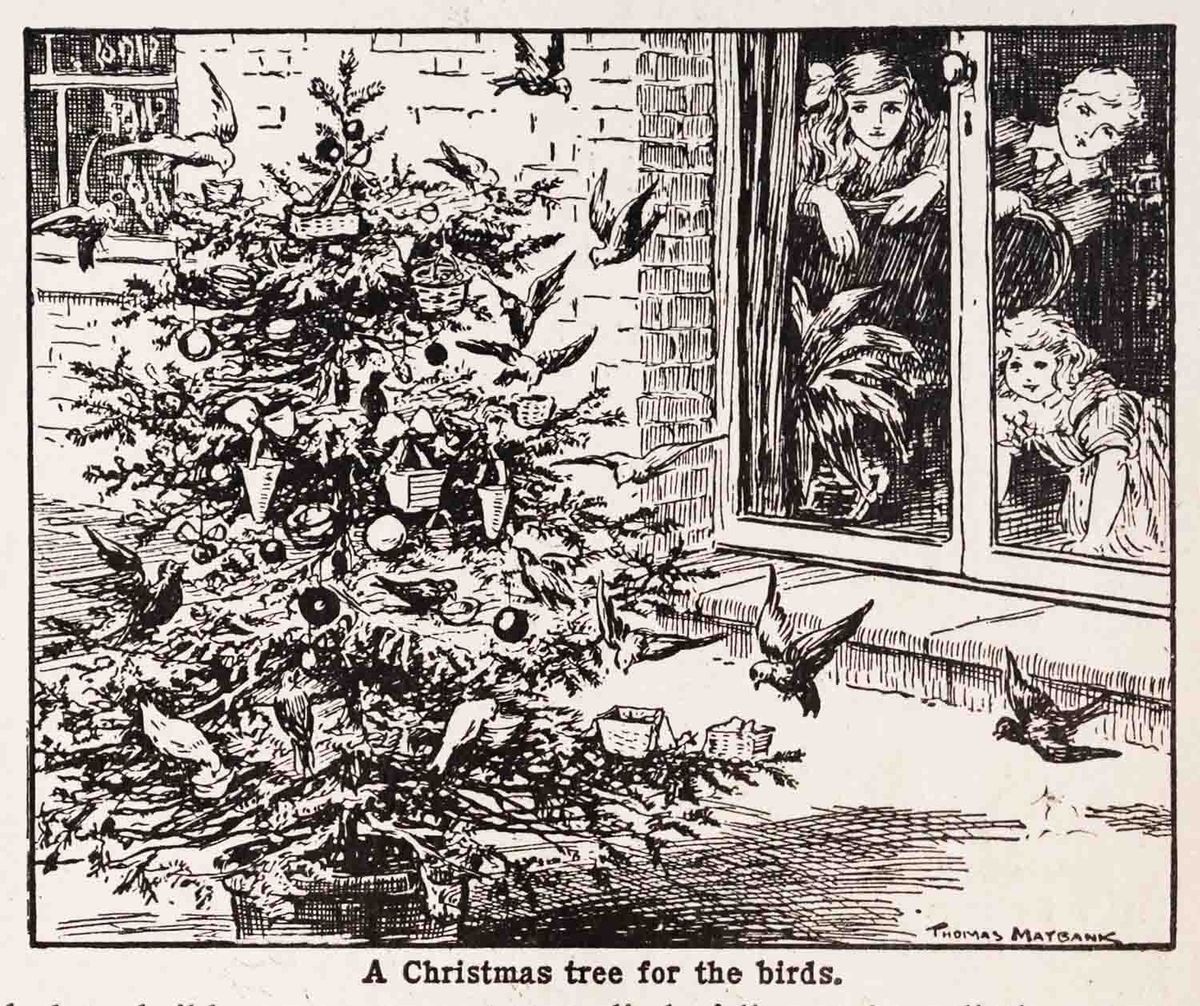 Christmas Tree For The Birds Bok Maybank Webres