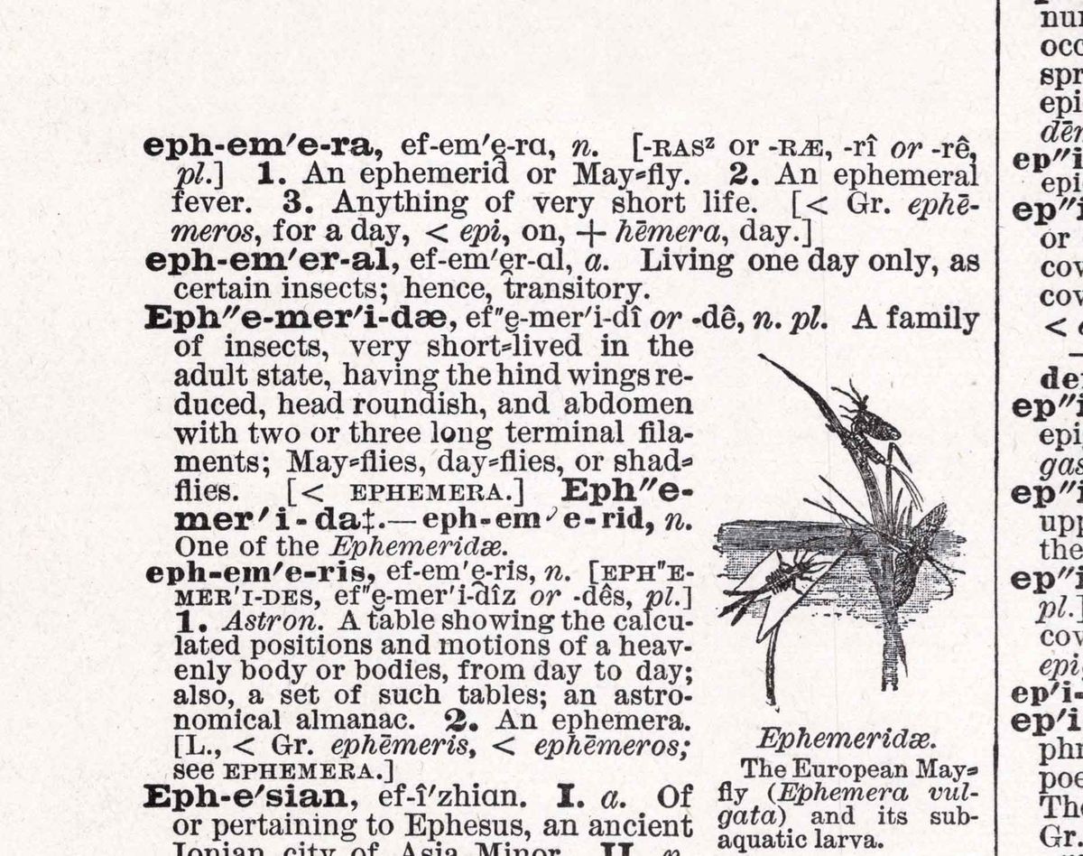 Ephemera Dictionary Page Pronounciation Web