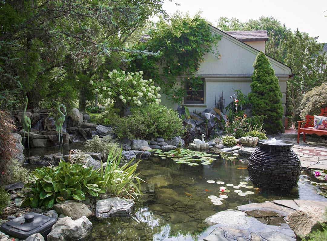 side yard pond