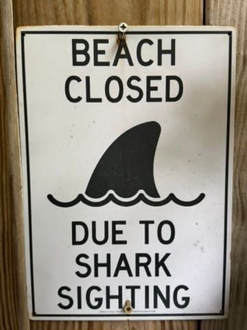 A Story of Sharks: June in Review
