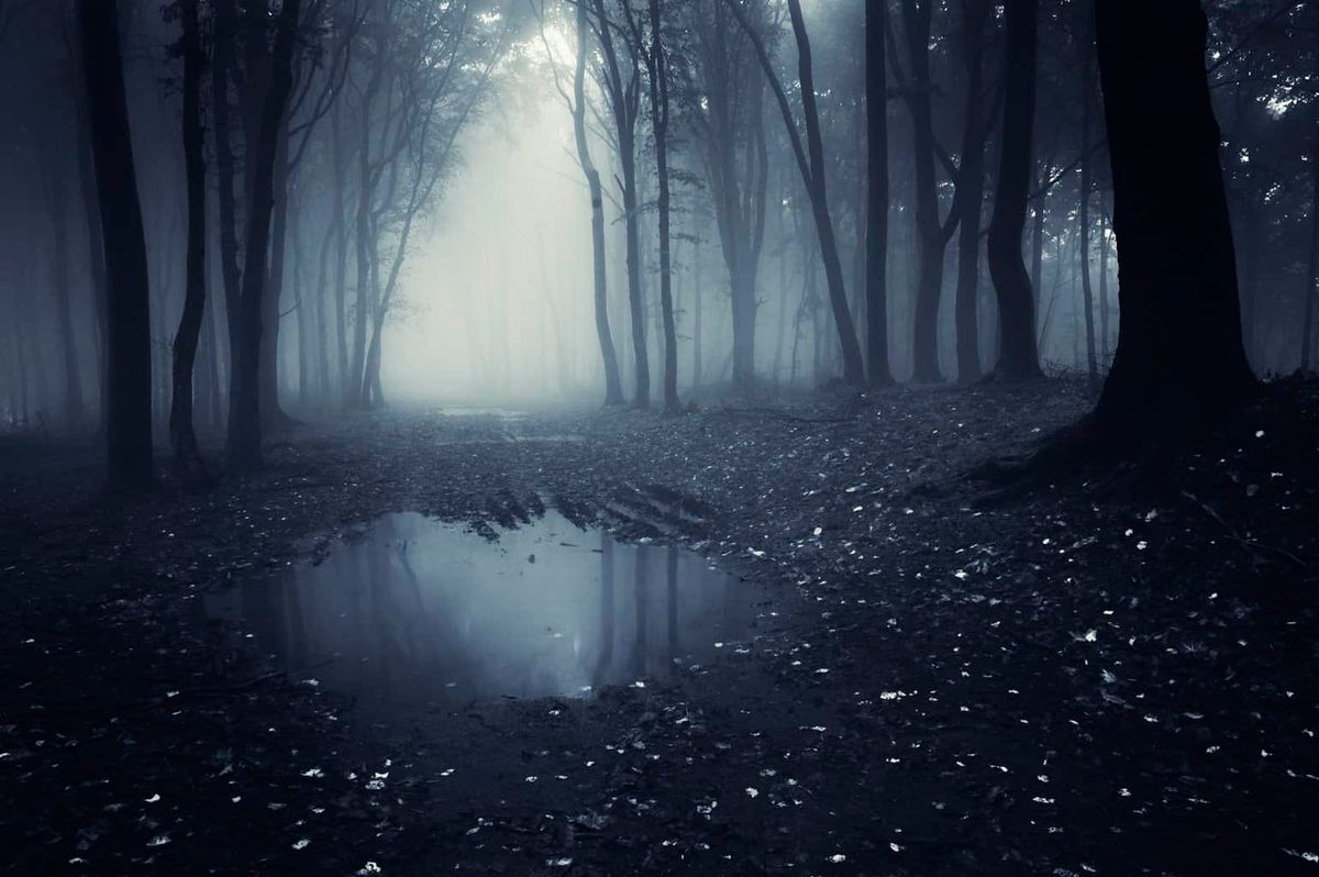 Dark haunted lake in forest