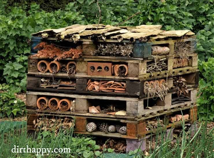 How to Build an Insect Hotel
