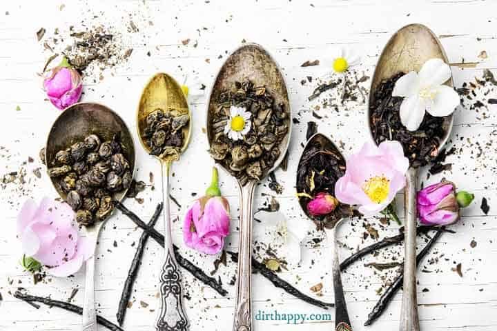 How to Dry Herbs