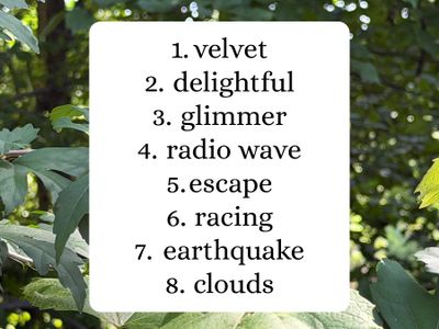 8 Words a Week #06