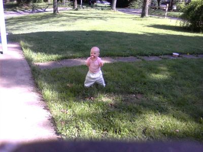 What We Can Learn by Taking Baby Steps